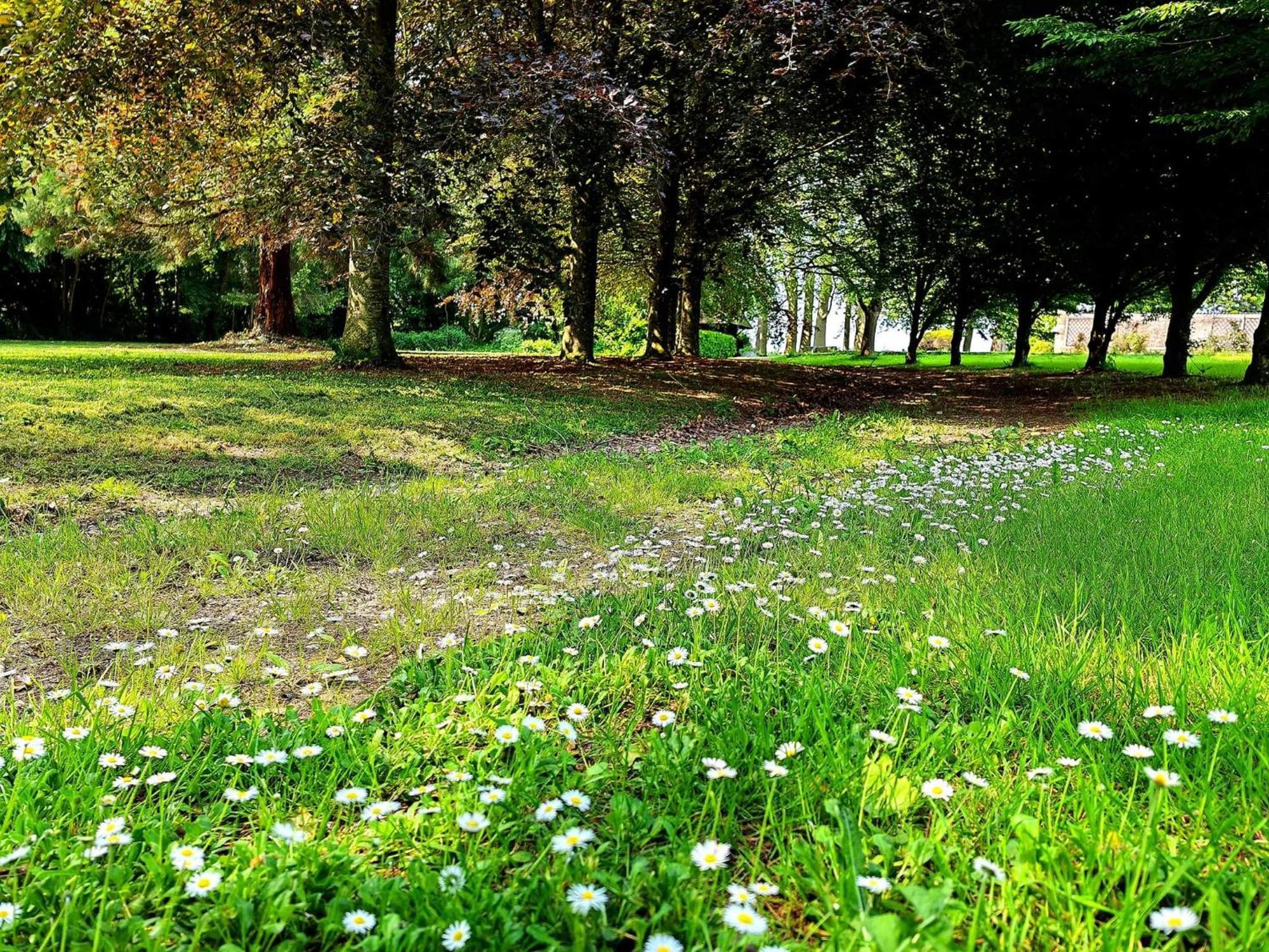 Domaine De L'Isle Maniere Daire Saint-Quentin-sur-le-Homme Dış mekan fotoğraf